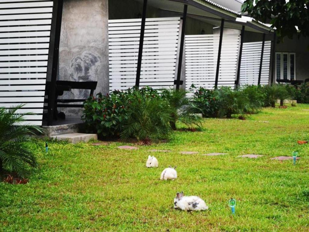 V Valley Resort Satun Ngoại thất bức ảnh
