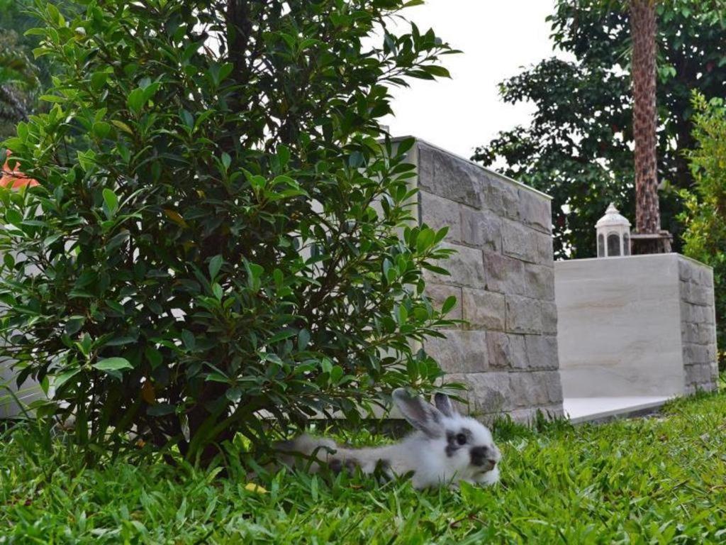 V Valley Resort Satun Ngoại thất bức ảnh
