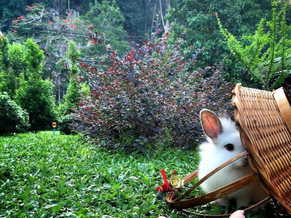 V Valley Resort Satun Ngoại thất bức ảnh