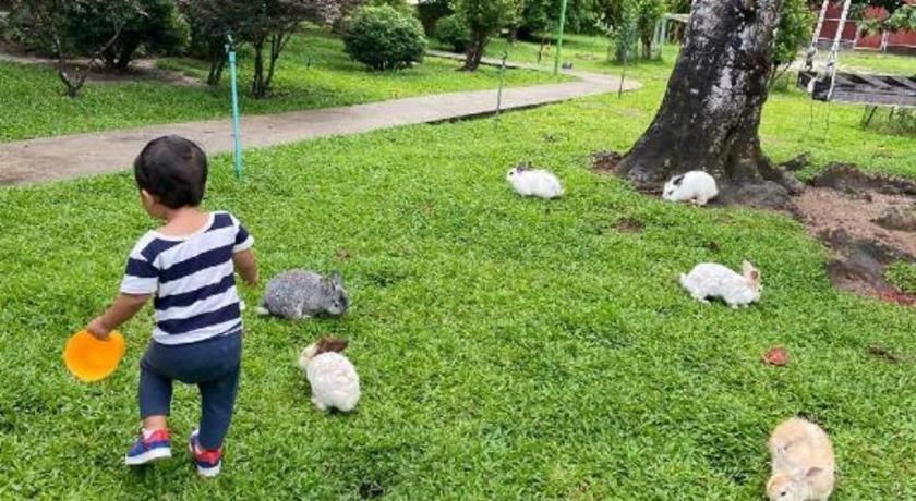 V Valley Resort Satun Ngoại thất bức ảnh