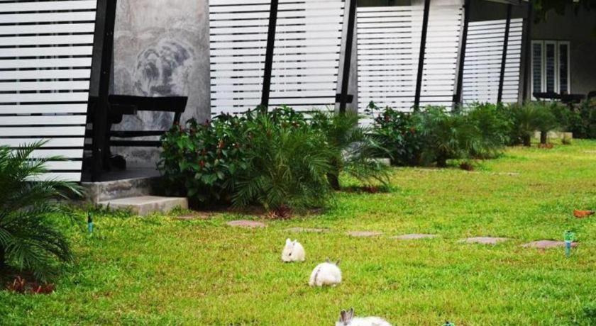 V Valley Resort Satun Ngoại thất bức ảnh