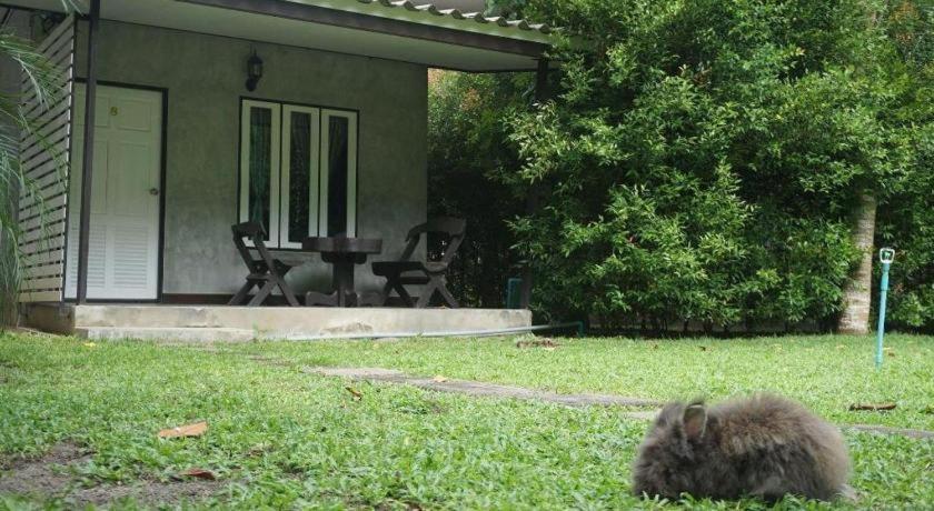 V Valley Resort Satun Ngoại thất bức ảnh