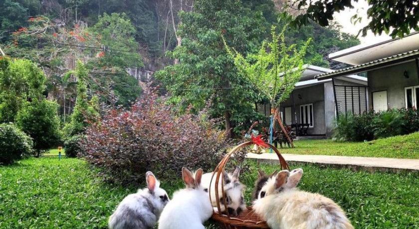 V Valley Resort Satun Ngoại thất bức ảnh